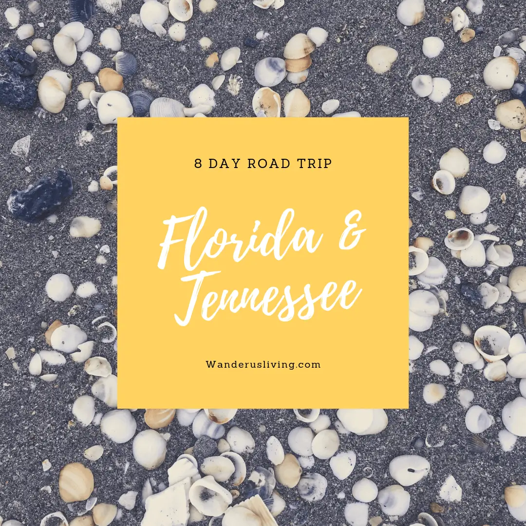 road trip south florida to tennessee