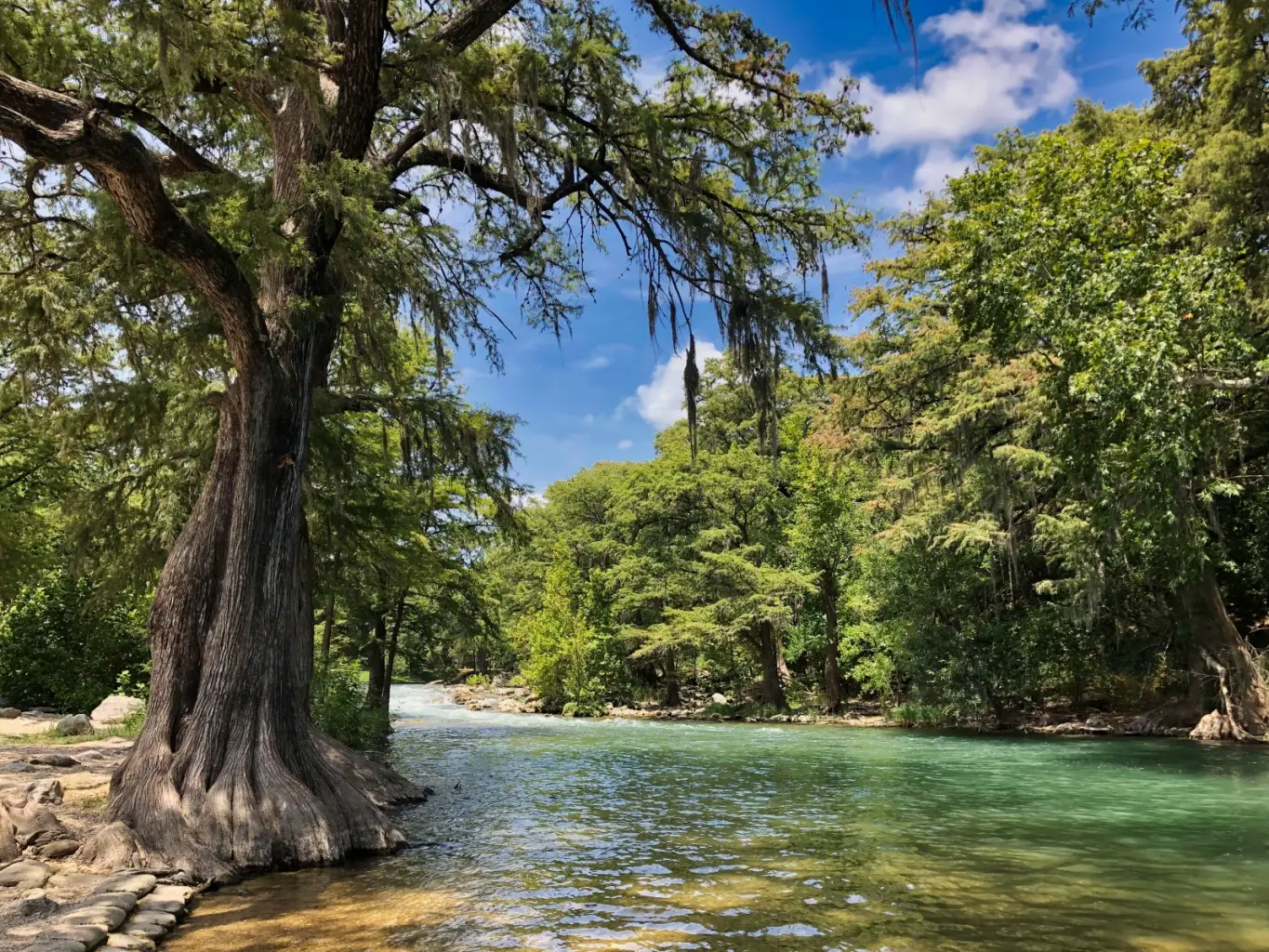 What to do in Gruene Texas