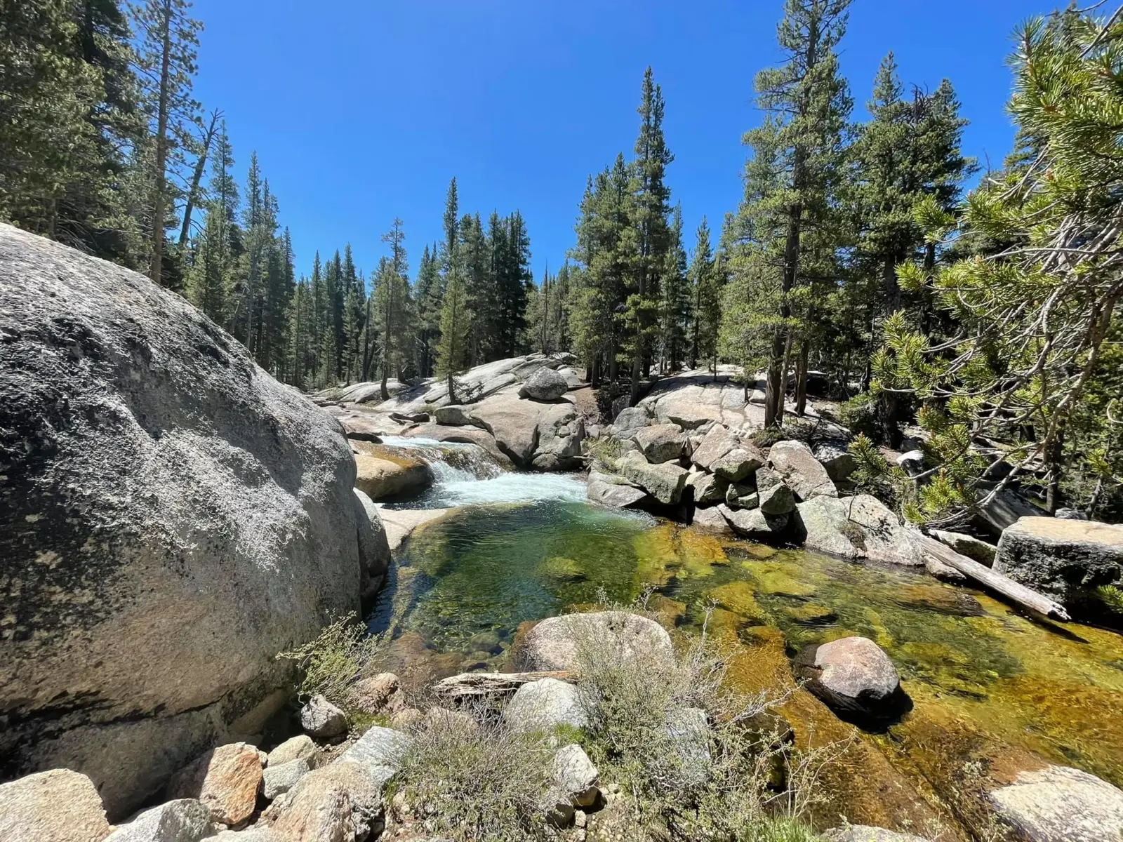 Things to do in Yosemite- Tuolumne River